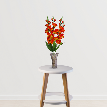 Gladiolus flower plant